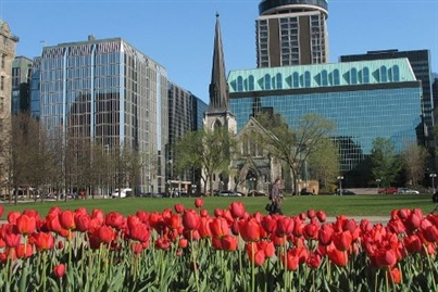 Canadian Tulip Festival, Ottawa