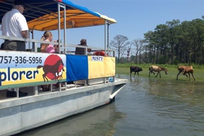 Assateague Island Boat Cruise - Ocean City, MD