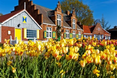 Holland, Michigan Tulip Festival