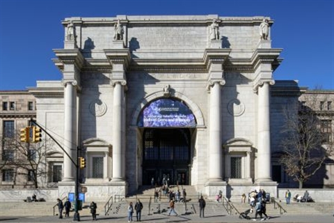 American Museum of Natural History: New York City