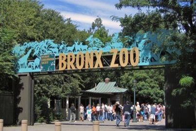 Bronx Zoo - Bronx, NY