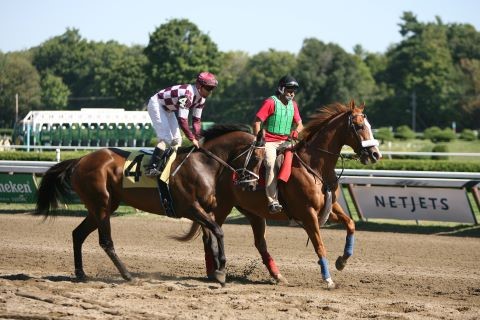 Saratoga Springs, NY: Thoroughbred Horse Racing