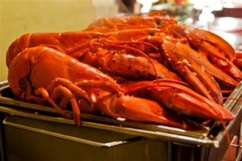 Newport, RI: LobsterFest