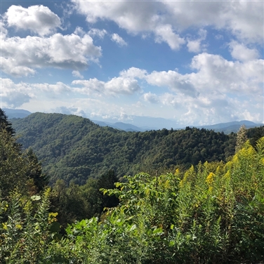 Smoky Mountain Showtime and Dollywood