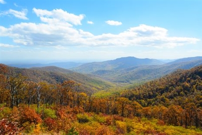 Skyline Drive - Shenandoah National Park 