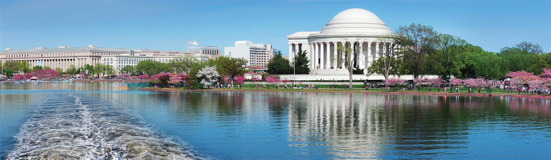Washington, DC Cherry Blossom Boat Cruise