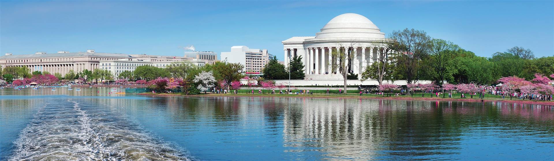 Washington, DC: Cherry Blossom Boat Cruise