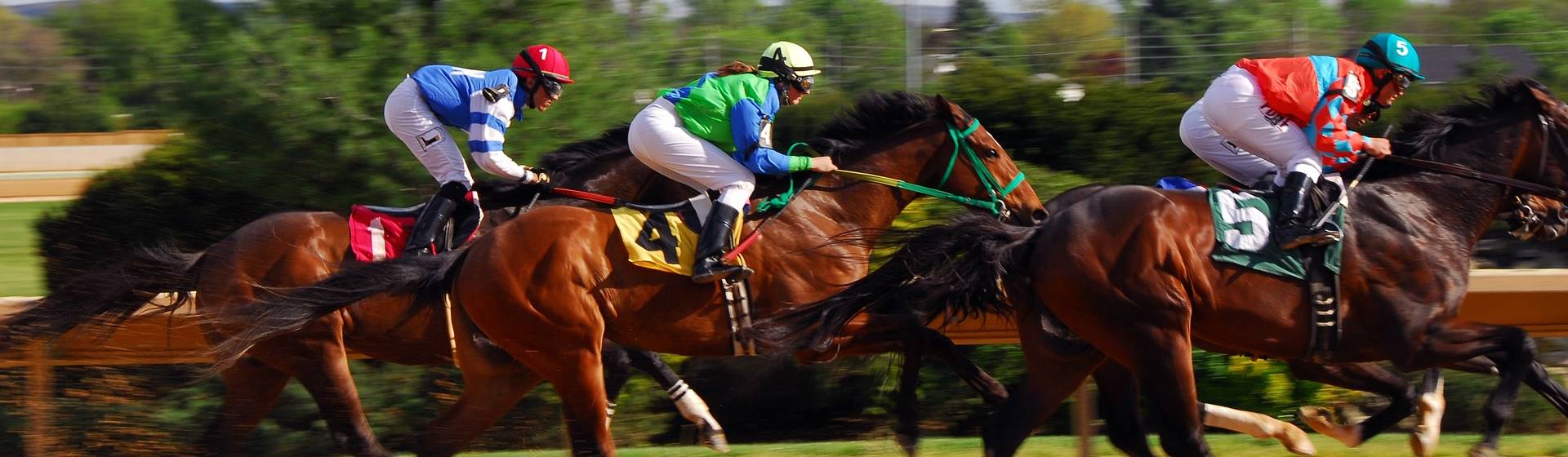 Saratoga Springs, NY: Thoroughbred Horse Racing