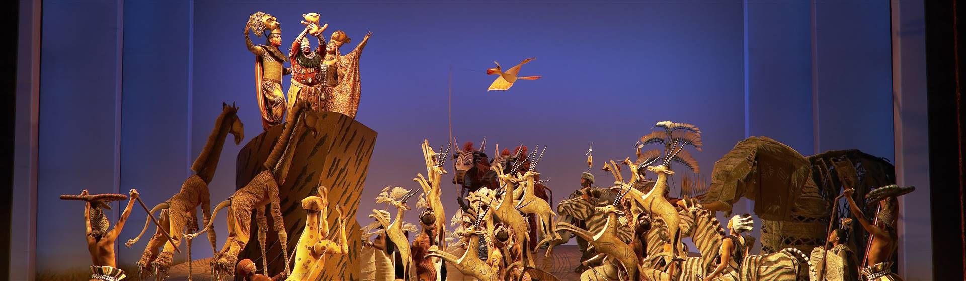 Lion King on Broadway