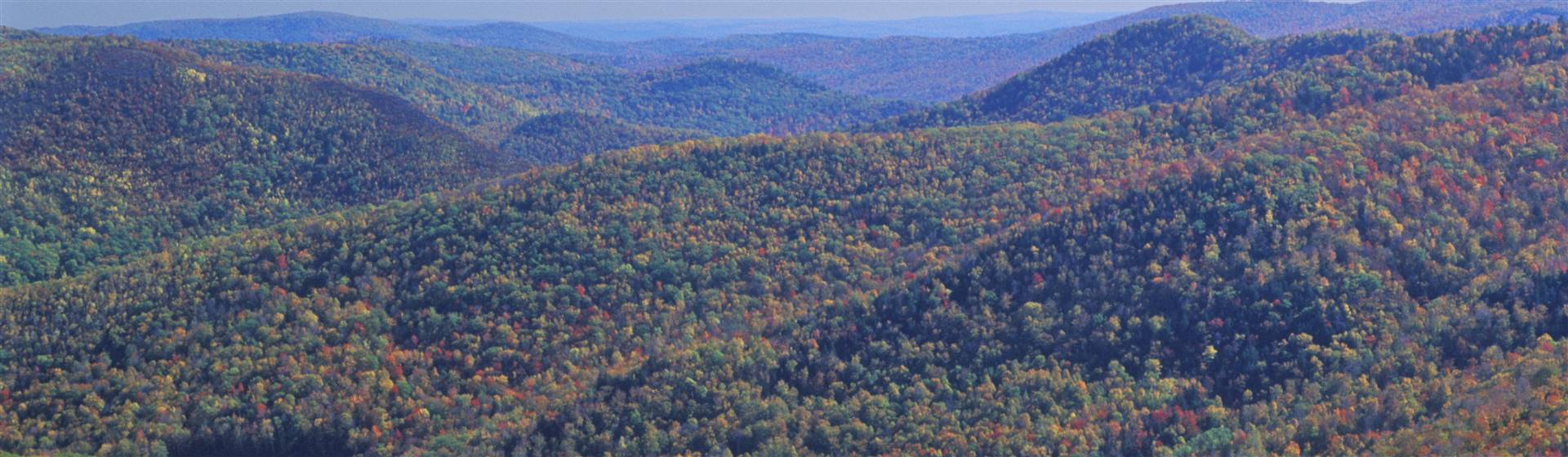 Berkshire Mountains Majesty: Lenox, MA