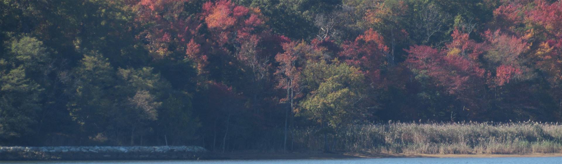 Annapolis, MD Fall Lighthouse Cruise