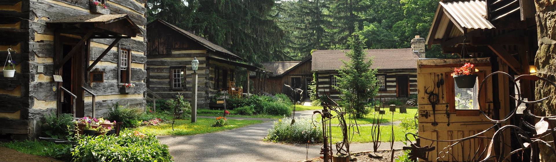 Western Maryland Scenic Railroad & Penn Alps