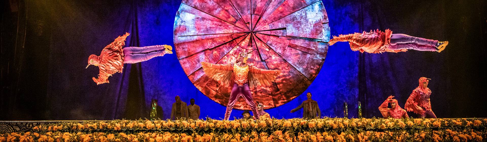 Cirque du Soleil - New York City: LUZIA