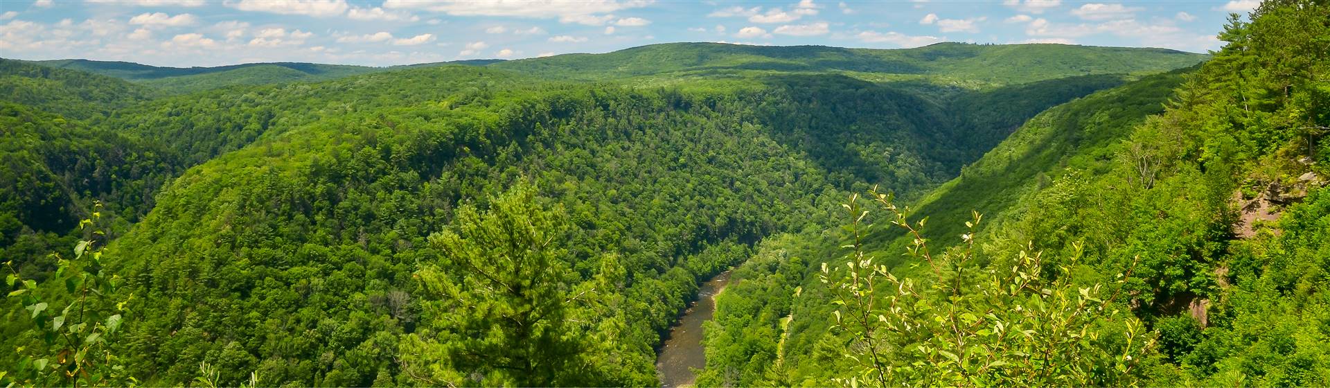 Pennsylvania's Grand Canyon - Wellsboro, PA