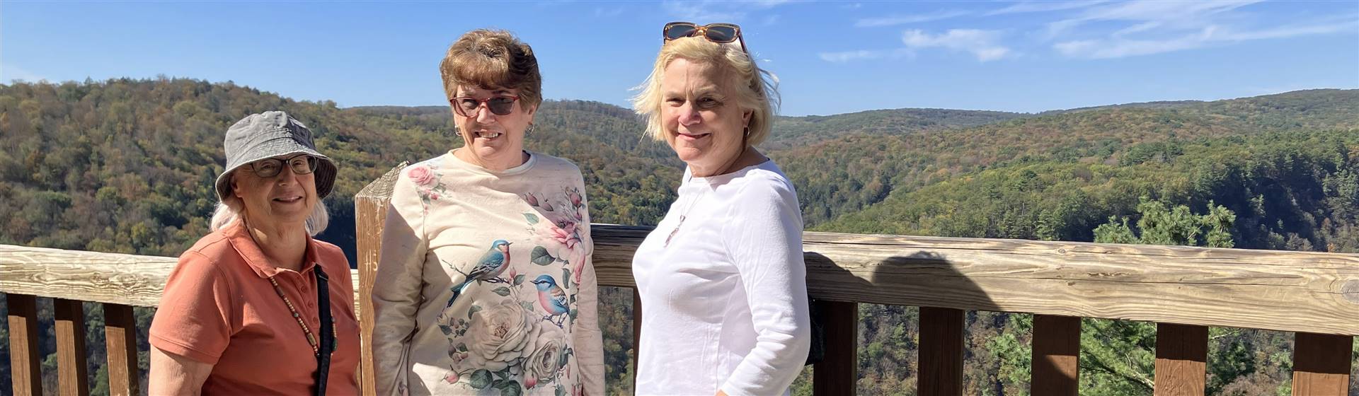 Girlfriends Getaway - Wellsboro, PA:Taste of Tioga