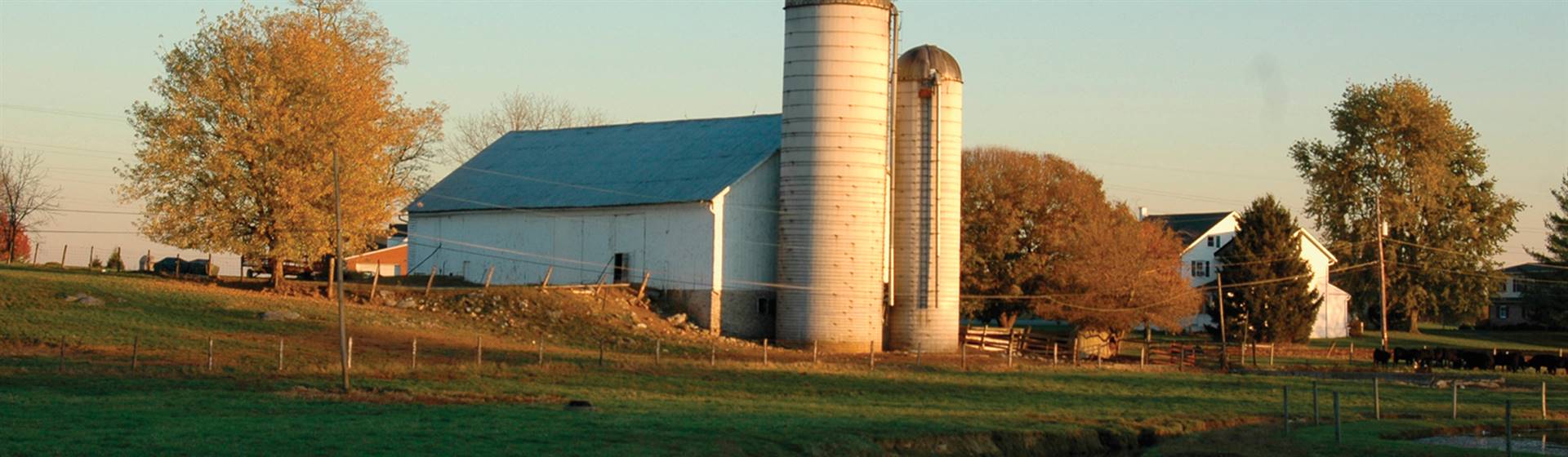 Thanksgiving in Maryland & Amish Country