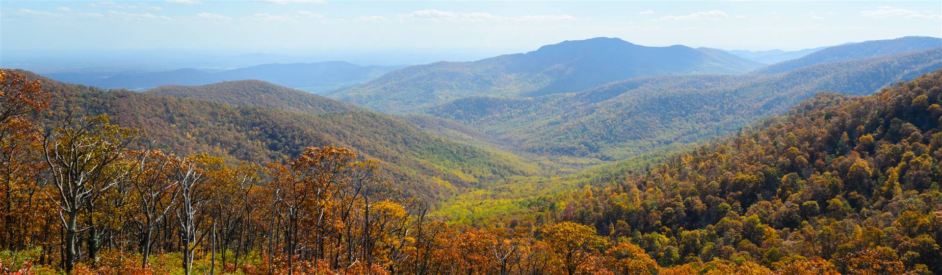 Skyline Drive - Shenandoah National Park 